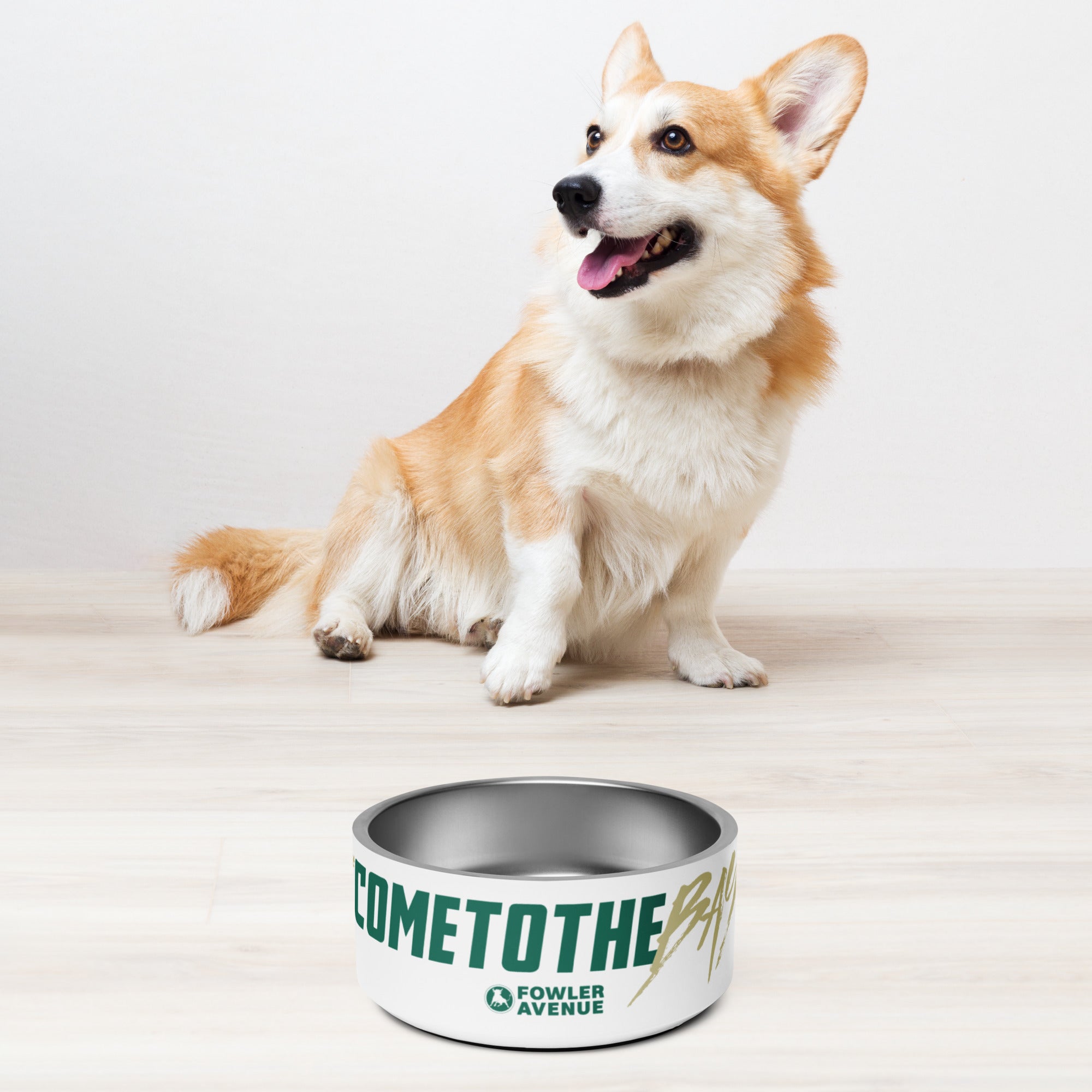 Come to the Bay - Fowler Avenue - Pet bowl